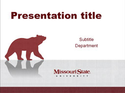 Reflective Bear